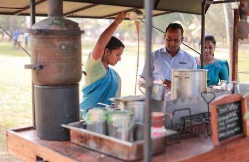 Mararikulam Resort | Marari Beach Resort Alleppey - A CGH Earth Experience
