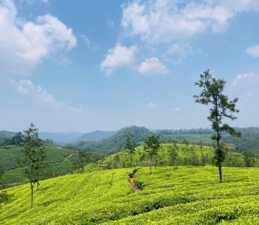 Pirmed Hotel | Maravillosso Sathram