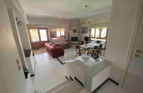 Palaio Tsifliki Apartment | Marble Villa