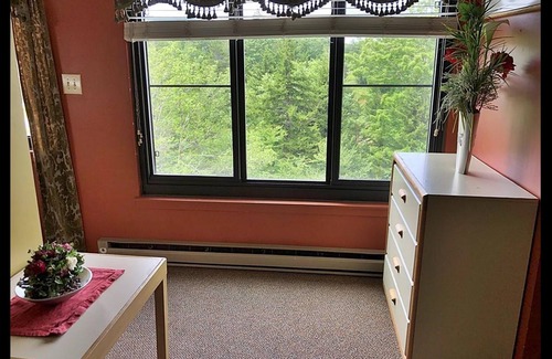 Snowshoe Condo | March Deals - Silvercreek Lodge! 2BDR/2Bath. Ski In/Out, Wifi, Pool, Hot Tub