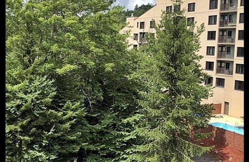 Snowshoe Condo | March Deals - Silvercreek Lodge! 2BDR/2Bath. Ski In/Out, Wifi, Pool, Hot Tub