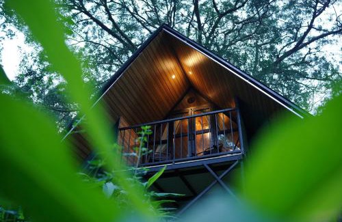 Kottappadi part Resort | marga stays