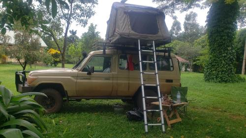 Eastern Region Other | Margaretville Camping site