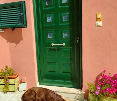Lakka Apartment | Margarita Apartments Paxos - Studio Kam