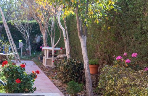 Midreshet Ben-Gurion Cabin | Margo Zimmer