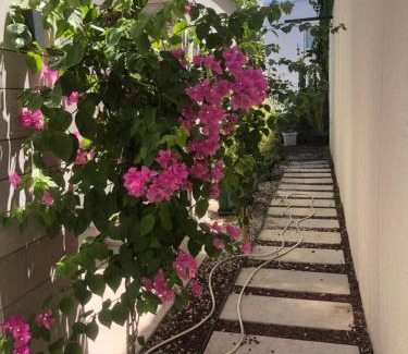 Bodrum City Center Apartment | MARİNA HOLİDAY REZİDENCE