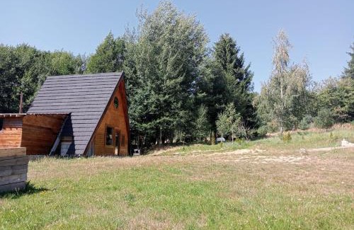 Brebu Nou Ski Chalet | maria