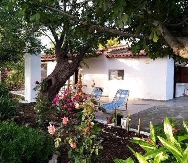 Lepreo House | Maria's Home