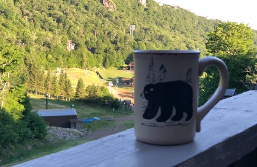 Beech Mountain Ski Chalet | Mariah Skiways Chalet Condo on Carolina Caribbean Slope w/Magic Carpet ski lift!