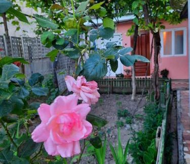 Kutaisi House | Marlen
