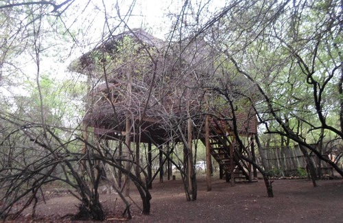 Marloth Park House | Marloth Havens