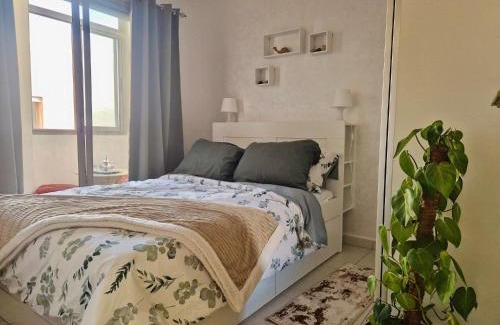 El Hara Apartment | Marrakeschzentrum Hideaway