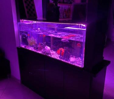 Berat Apartment | Martin Home