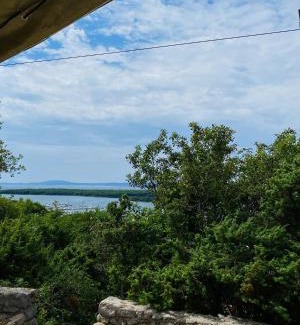Punat Other | MARUŠINA OLIVE HILLS - glamping & minicamp