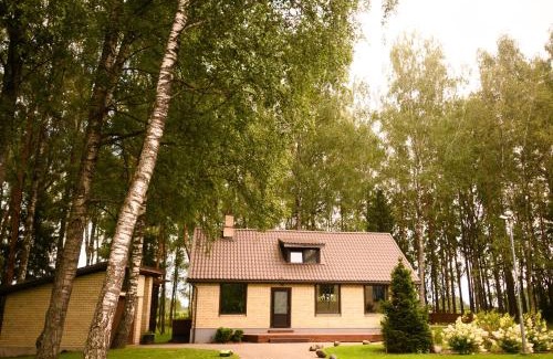 Plavniekkalns House | Marupes pirts