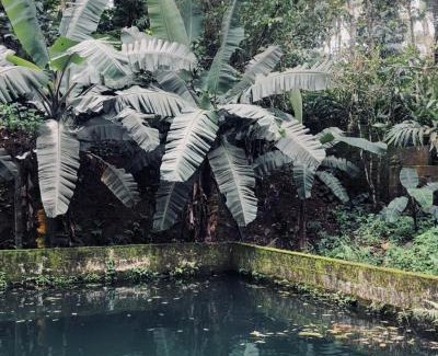Elappara House | MARUTHY FARM HOUSE