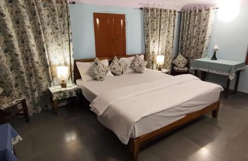 Pink City House | Marwa House