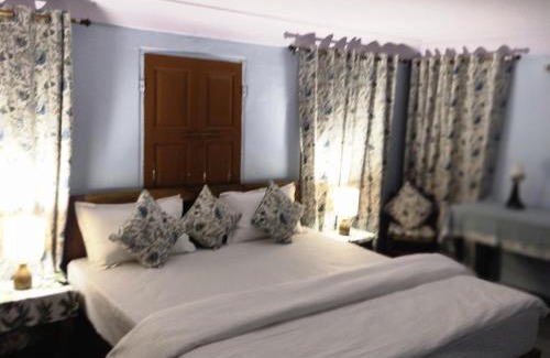Pink City House | Marwa House