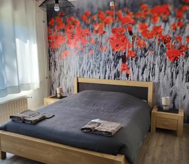 Templeuve Bed & Breakfast | Mary's Poppies - Bed & Breakfast