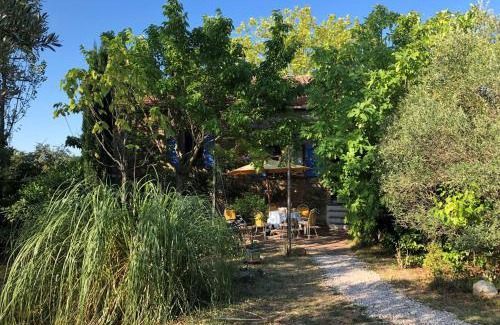 Saint-Julien-de-Cassagnas House | Mas Chataigner - La Jaune