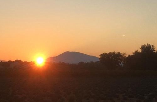 Bollene Bed & Breakfast | mas de costebelle