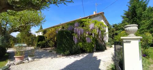 Cabannes House | Mas de St-Andiol