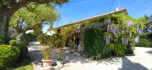 Cabannes House | Mas de St-Andiol