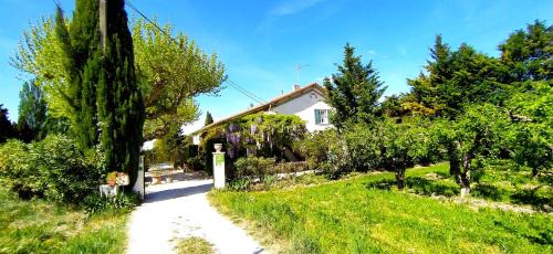 Cabannes House | Mas de St-Andiol