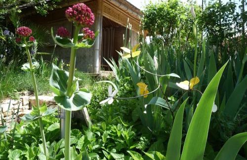 Barjac Bed & Breakfast | Mas Escombelle