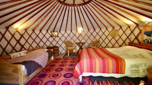 Barjac Bed & Breakfast | Mas Escombelle