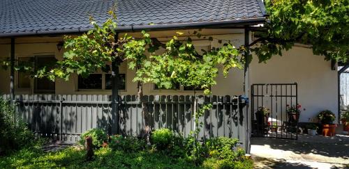 Oradea Apartment | Mateas Apartament