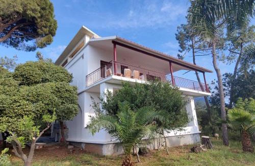 Kiparissia Apartment | MATINA 2