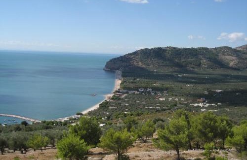 Mattinata Other | Mattinata Camping