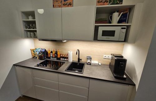 Alsergrund Apartment | Mauthaus Lichtenstein