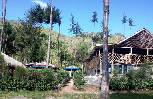 Aberdare National Park Cabin | Maverick Camp Rondavels and Homestay