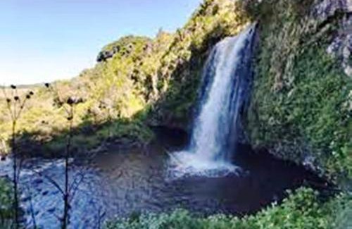 Aberdare National Park House | Maverick Camp, Rondavels and Homestay