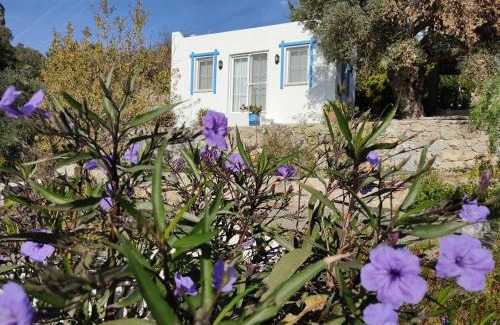 Mesudiye Hotel | Mavi Kelebek Datca