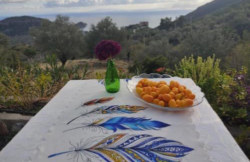 Mesudiye Hotel | Mavi Kelebek Datca