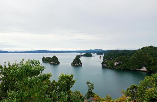 Arborek House | Mawar Homestay
