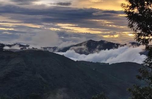 Kotagiri House | May Fair Vista Home