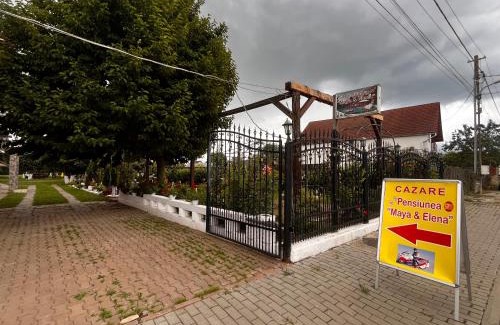 Cartisoara House | Maya & Elena