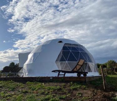 Bellegem Other | Maya Lena dome