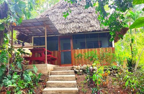 San Ignacio Cabin | Maya Mountain Lodge