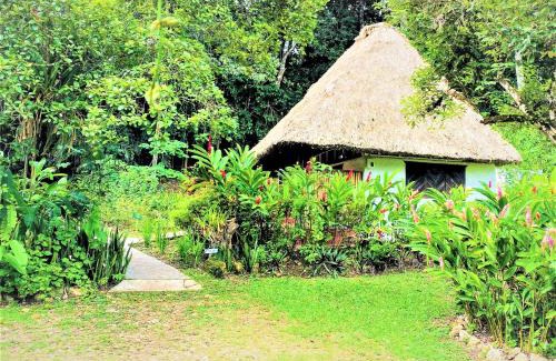San Ignacio Cabin | Maya Mountain Lodge