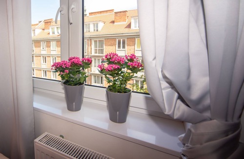 Old Town Apartment | Maya's 61