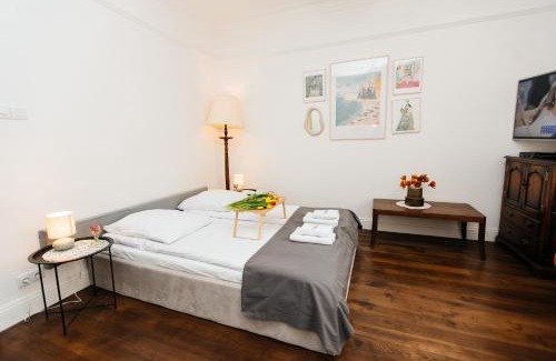 Old Town Apartment | Maya's Flats & Resorts 31 - apartament z dwiema sypialniami two bedrooms apartament OGARNA STR OLD TOWN GDANSK