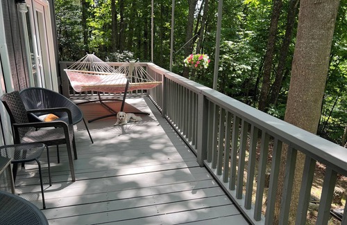 Mount Airy House | 🏚️ Mayberry’s Serenity Villa. IfIT Bike, Hammock, Massage Table, Firepit
