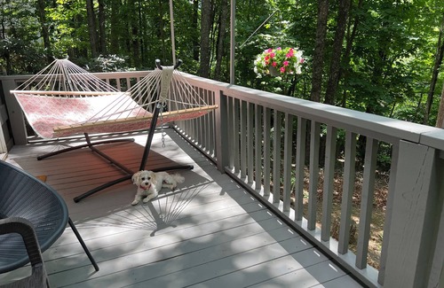 Mount Airy House | 🏚️ Mayberry’s Serenity Villa. IfIT Bike, Hammock, Massage Table, Firepit