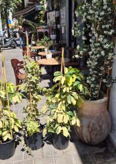 Tel Aviv City Center Apartment | Maze Apartments - Perfectly located brand new flats