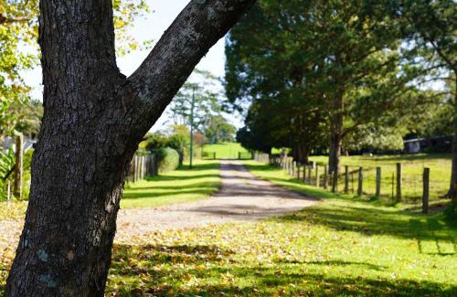 Maleny House | McCarthy Grove Maleny